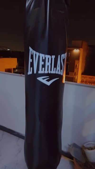 Everlast heavy punching bag with gloves