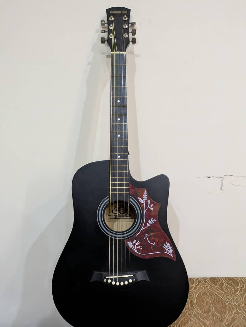 acoustic guitar with extra strings, capo,bag,pick 0