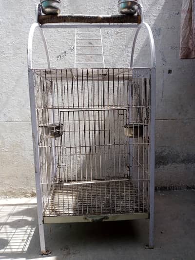 African Raw parrot Cage