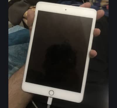 i pad mini 5 golden 64gb