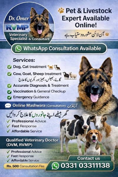 Expert Veterinary Care for Pets and Livestock