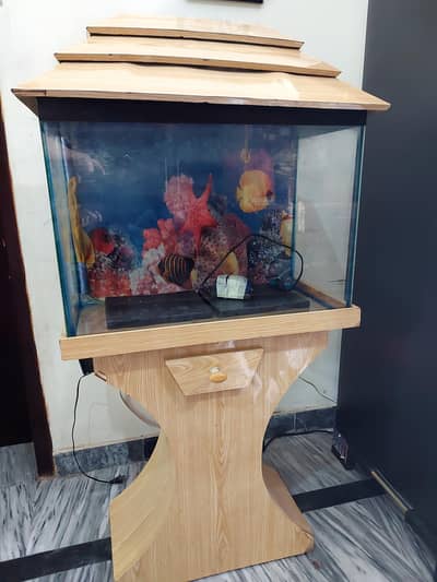 Aquarium with complete accessories