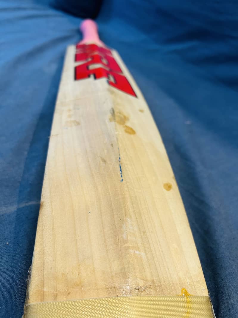 Cricket Bat 3