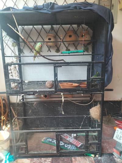 Cage for Birds