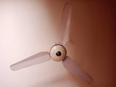 ceiling Fan