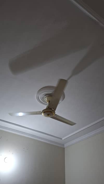 2 celling fan pak fans