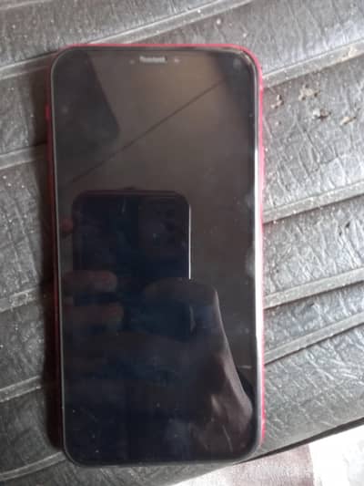 iphone XR (American)