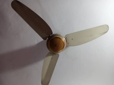 1 ceiling fan for sale
