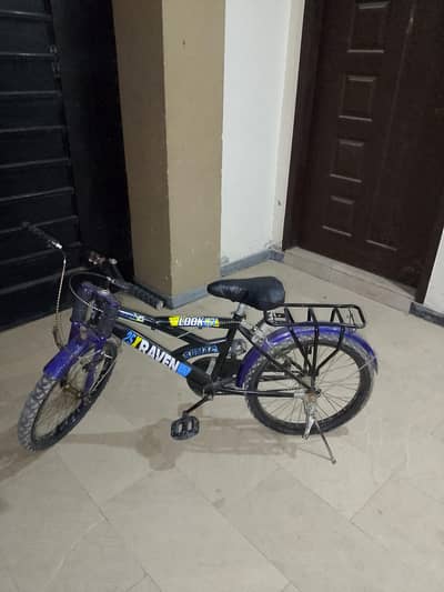 Sumac Raven Youth Bicycle with Front Shocks for Sale