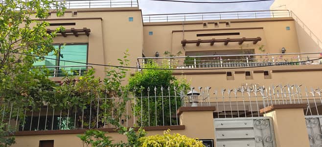 Rockwall & Graphy / Home Finishing /wall - paint Polish / Wall Paint