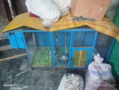parrot house