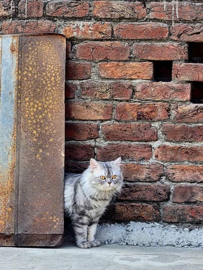 only for good person