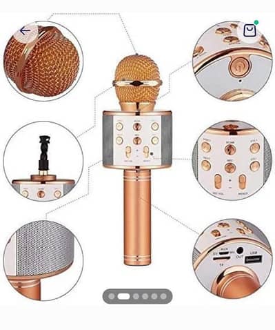 best mike for kids entertainment