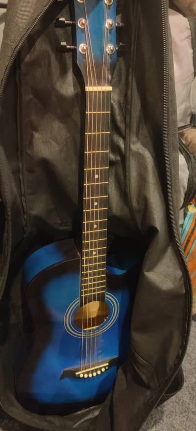 Premium acoustic guitar