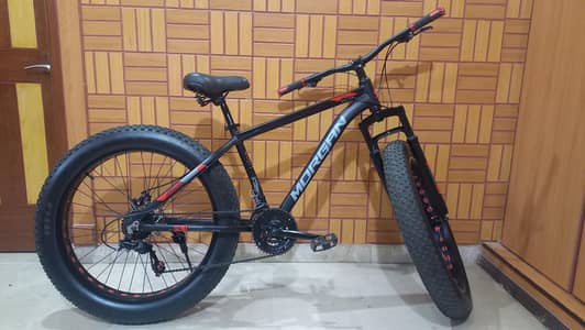 Morgan's Mountain Fade Bike