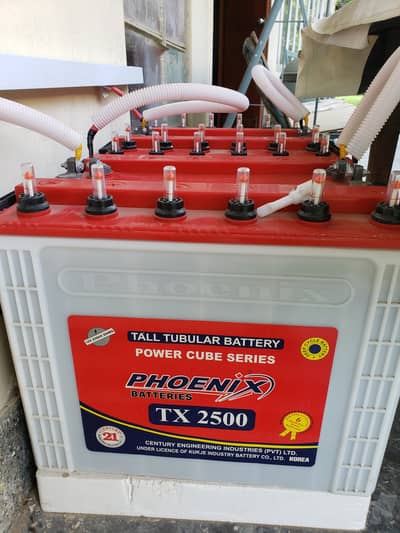 3 Phoenix tall tubular TX 2500  batteries for sale instaked July 2024