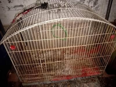 bird cage