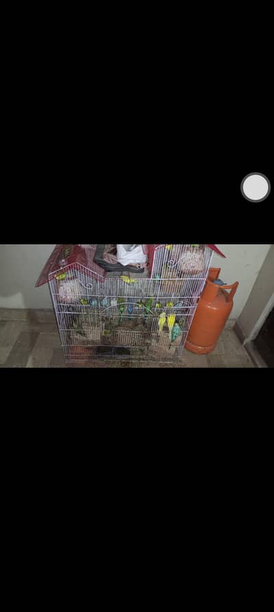 All to All Breader Paiers For selll