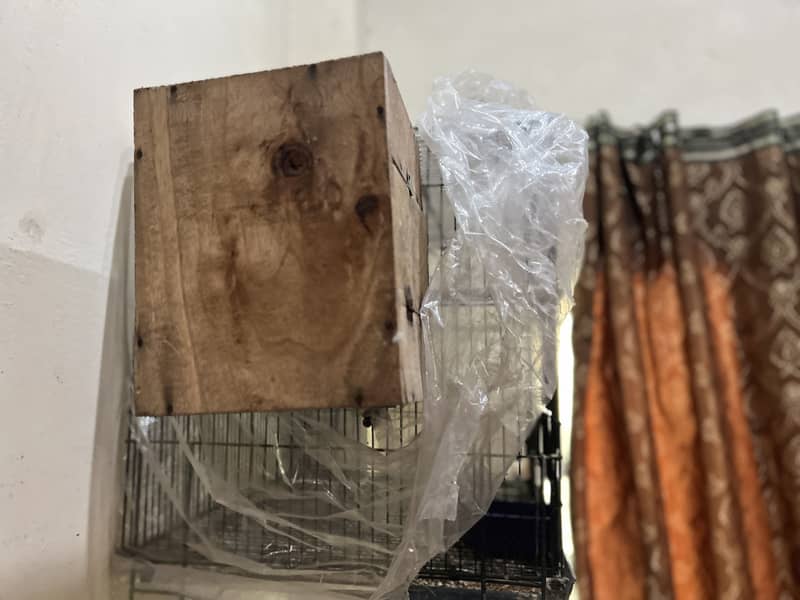 White java breeder 3