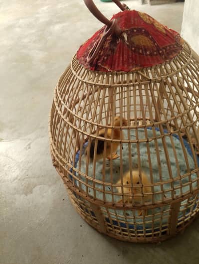 2 duck Small With Pinjra