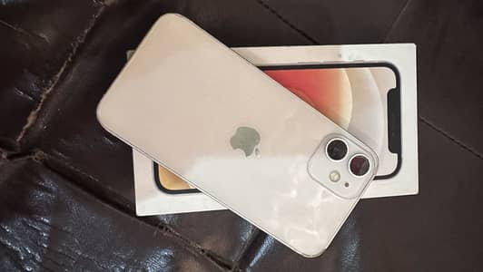 iPhone 12 Mini PTA Approved