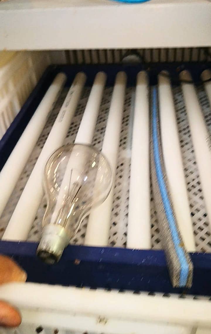 Automatic Incubator | XM-18D controller Egg Hatching Machine 2