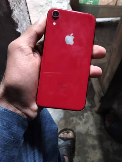 Watsapp : 03284498620