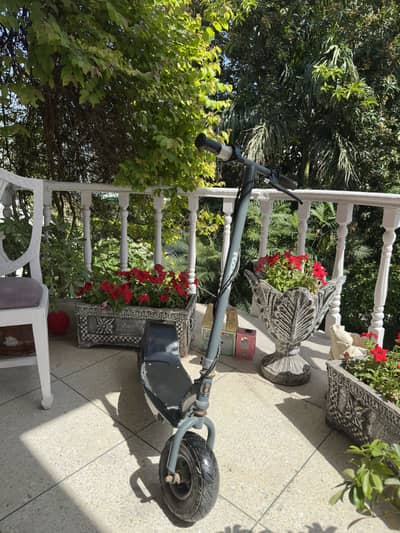 Razor E300 Electric Scooter