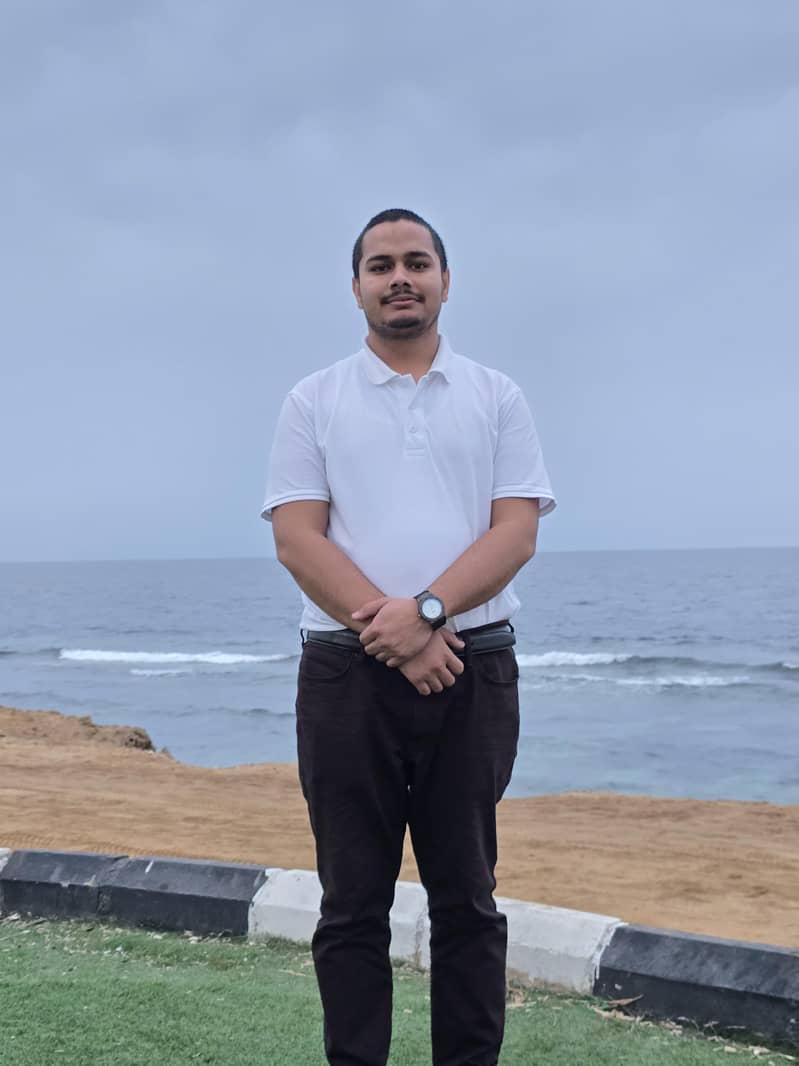 Fawn and silver Java sapparow 2