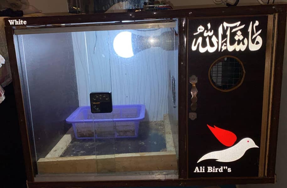 Brooder For Parrot Chick's  0