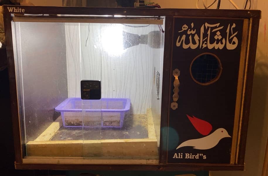 Brooder For Parrot Chick's  1