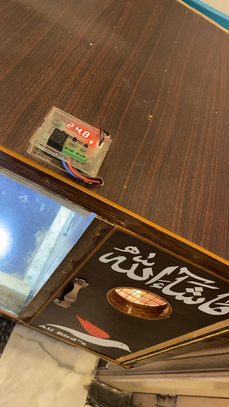 Brooder For Parrot Chick's  2