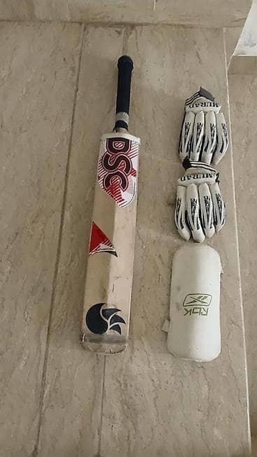 hard ball bat with free batting gloves and elbow