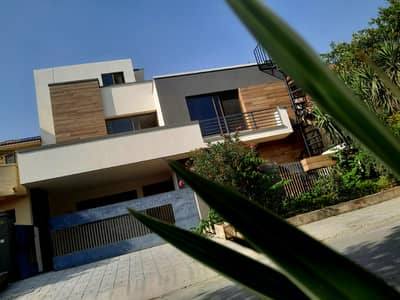 D-17 Prime Location Ideal Upper Portion 10/Marla Reasonable rent