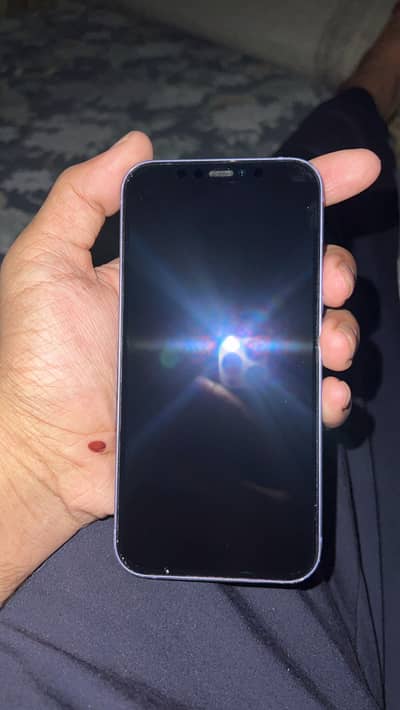 iPhone 12 pta approved