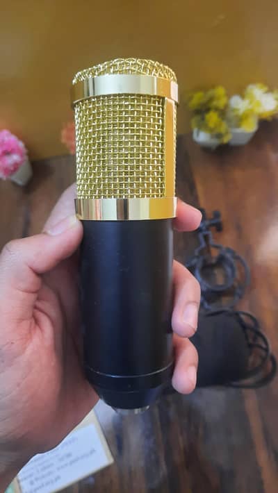 BM-800 Condenser Microphone for sale