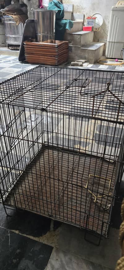 perot cage good condetin