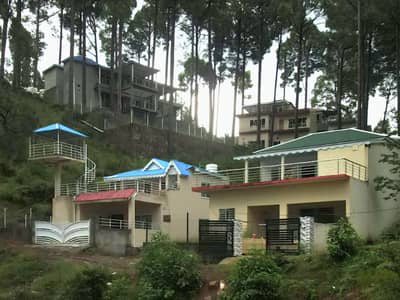 5 Marla Luxury Hill Top Plot for Sale Green Lush Area | Pine Tree View | Prime Location