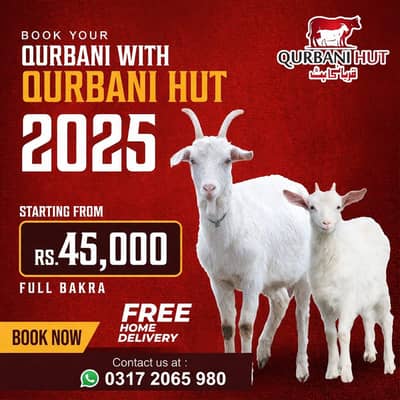 Goats Qurabani 2026