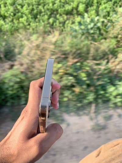 03157319402 Exchange posibal 256 pta bhattery health 77