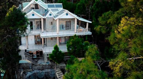 3 Marla Luxury Hill Top Plot for Sale Green Lush Area | Pine Tree View | Prime Location