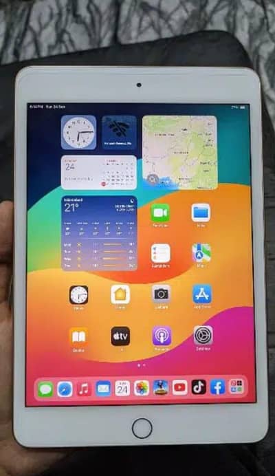 Apple iPad mini 5