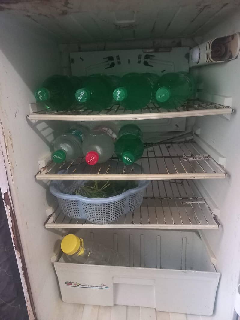 refrigerator 10