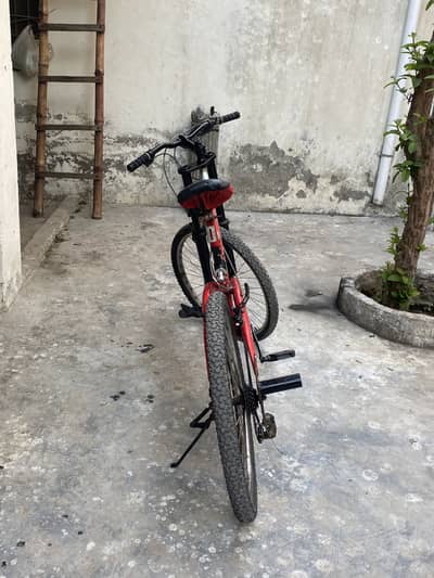 PHOENIX 26 inch cycle Dual shock