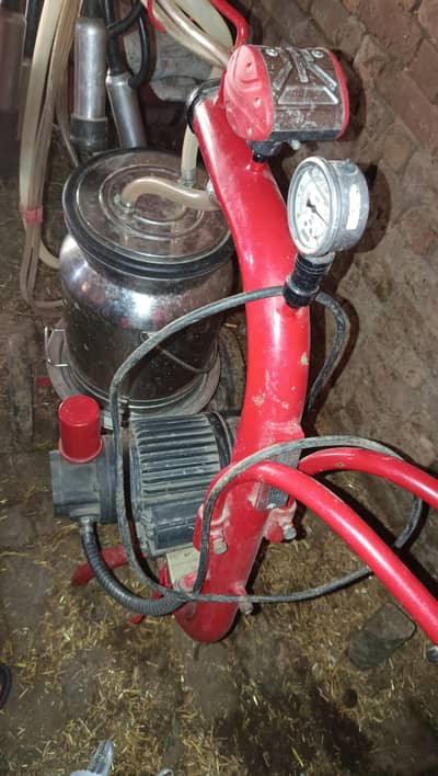 milking machine For sale