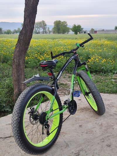 FAT TYRE ELEGENT BIKE