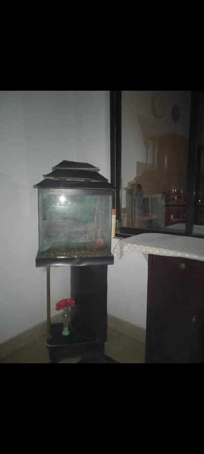 Aquarium for sale