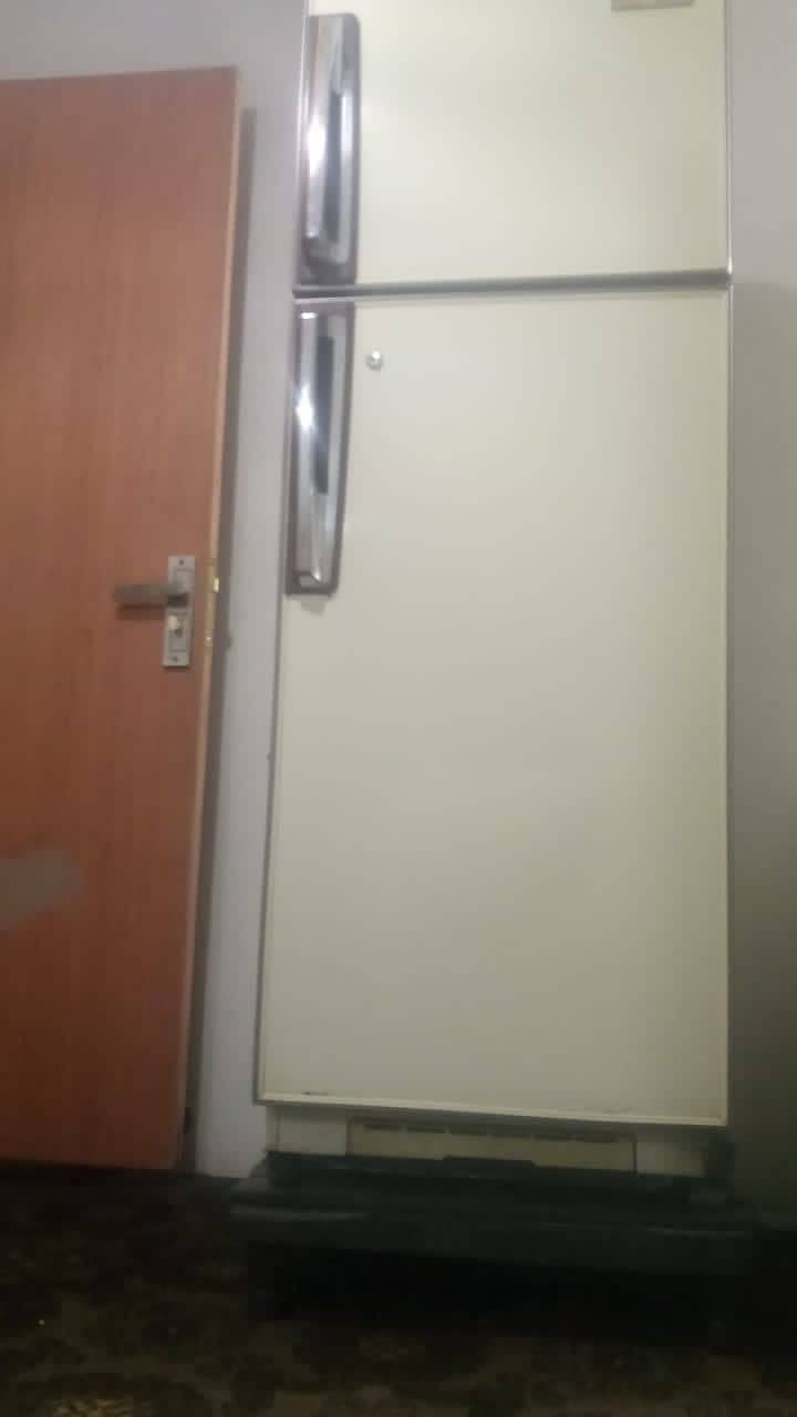 Fridge 3