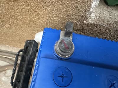 4 betters for sale  3 year used butt in working