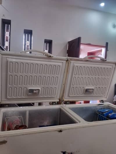 Waves triplet double door deep freezer